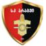阿拉吉夫杜塞提logo