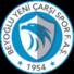 贝伊奥卢新集市U19logo