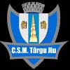 CSM特尔古日乌logo